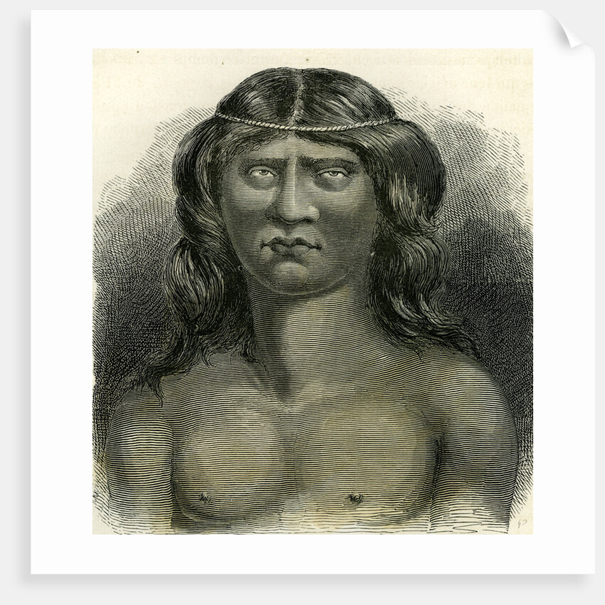 Pano Indian 1869 Peru by Anonymous