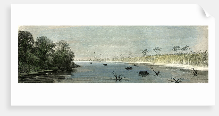 Plaines of Sacrement 1869 Peru by Anonymous