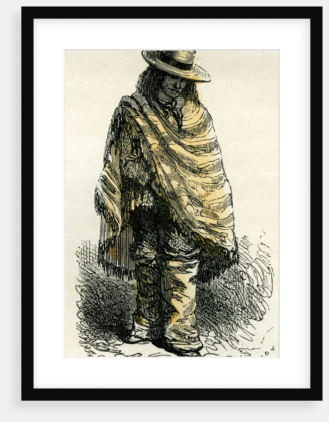 Valley of Arequipachacarero 1869 Peru by Anonymous