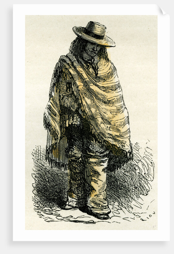 Valley of Arequipachacarero 1869 Peru by Anonymous