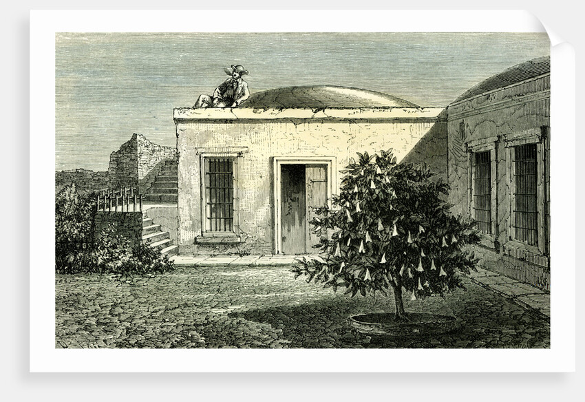 Arequipa House 1869 Peru by Anonymous