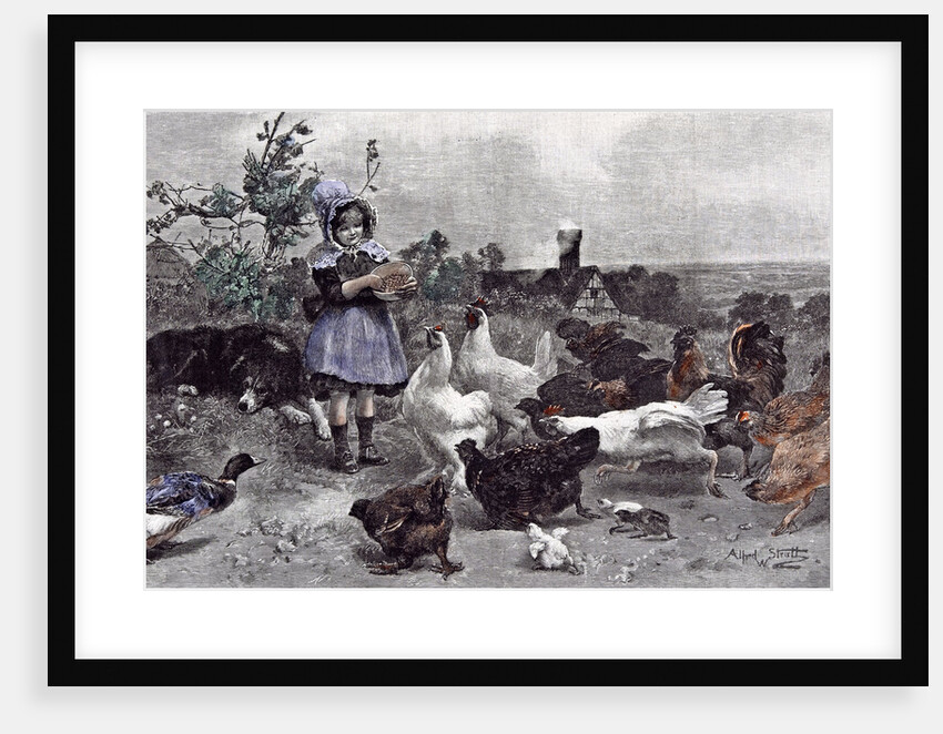 A Morning Call Chicken A.W. Strutt Child 1891 by Anonymous