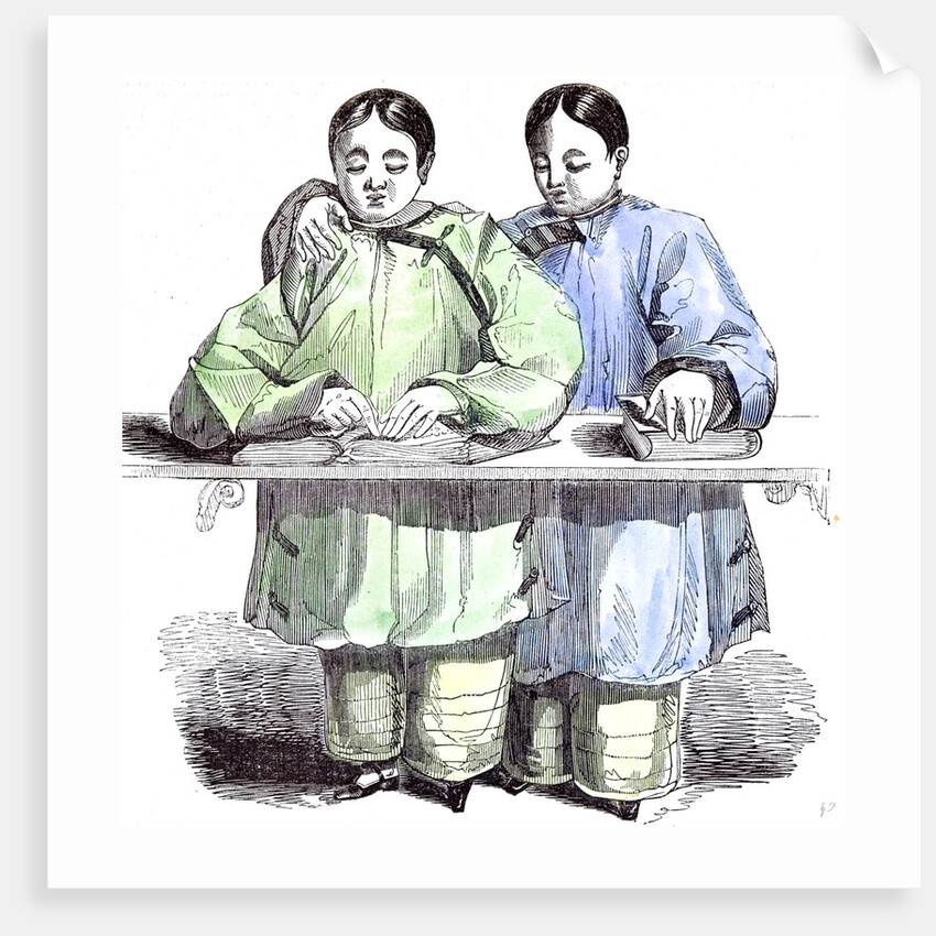 The Blind Chinese Children by Anonymous