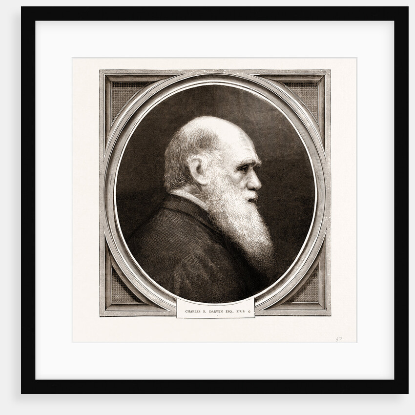 Charles R. Darwin, Esq. F.r.s. by Anonymous