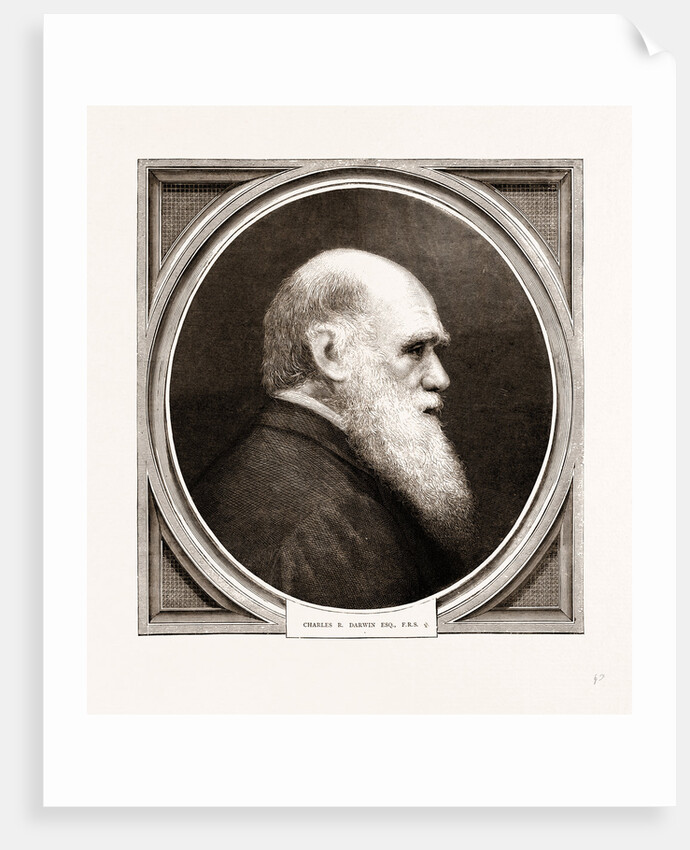 Charles R. Darwin, Esq. F.r.s. by Anonymous