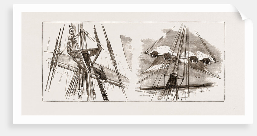 Reorganising The Chinese Navy, On Board The Training Ship kein-wei by Anonymous