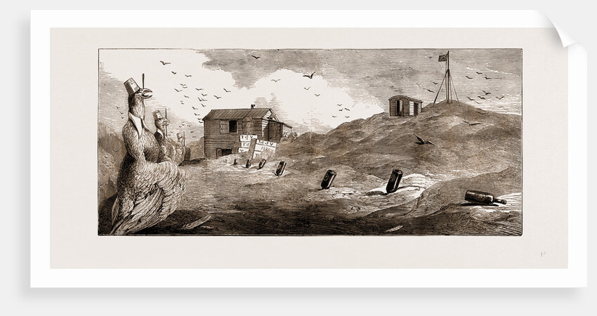 Kerguelen Island, The Transit Of Venus: Second English Astronomical Station by Anonymous