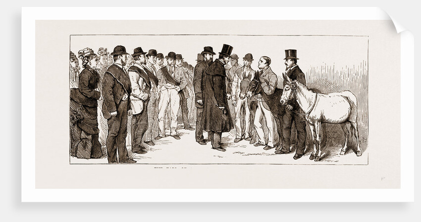 Annual Meeting Of The Golden Lane Costermongers' Mission: The Earl Of Shaftesbury Reviewing The Donkeys, 1875 by Anonymous