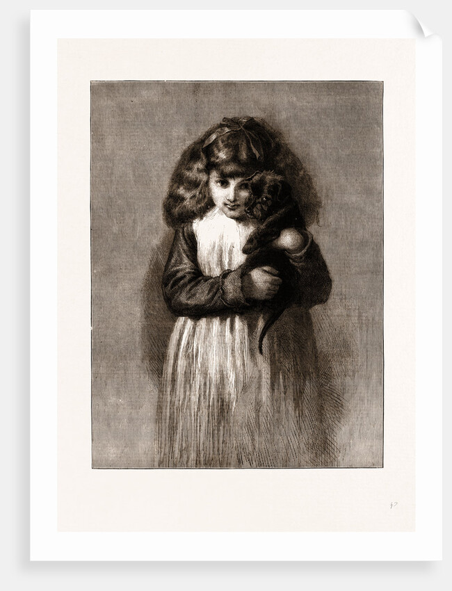 Playfellows, From The Picture By J.d. Watson by Anonymous