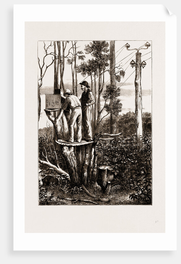 The Recent Transit Of Venus: Preparing For Work At An Australian Bush Station, 1875 by Anonymous