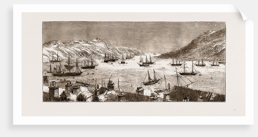 The Seal Fishing Fleet In St. John's Bay, Newfoundland by Anonymous
