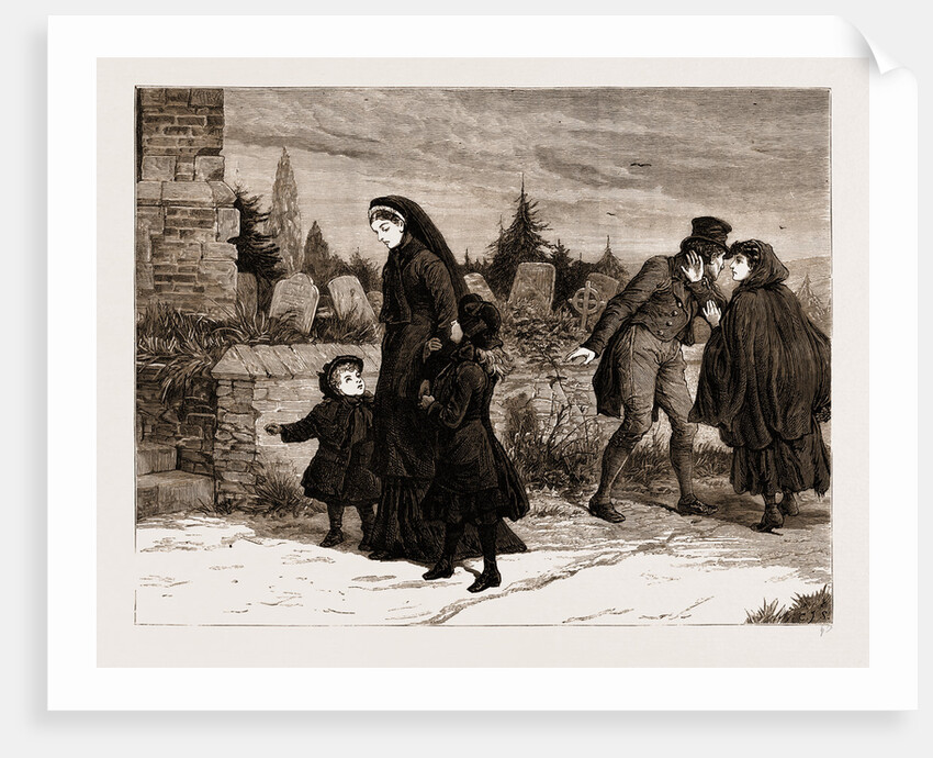 The Land Agitation In Ireland: The Widow And The Assassin, 1881 by Anonymous
