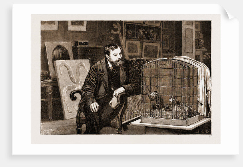 The Late Mr. Frank Buckland at Home, 1881 by Anonymous