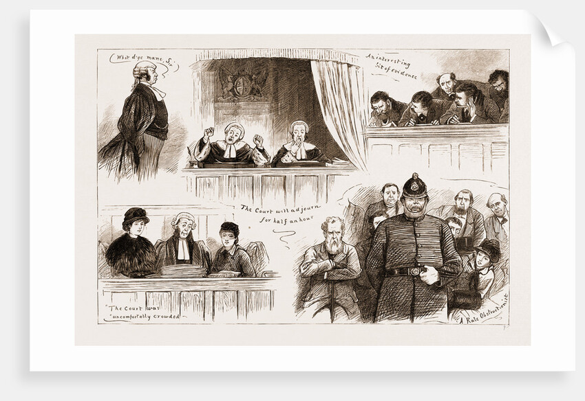 The Land Agitation In Ireland: The State Trial In Dublin, Sketches In Court by Anonymous