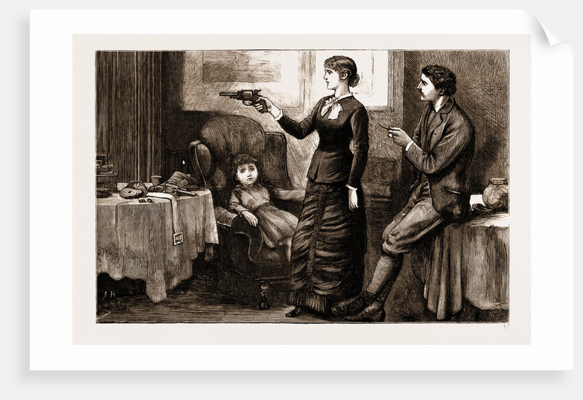 The Reign Of Terror In Ireland, 1881: A Lesson In The Art Of Self-defence by Anonymous