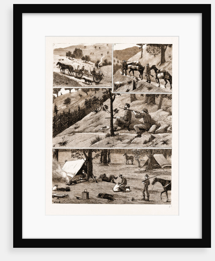 Deer Hunting In The coast Range Mountains by Anonymous