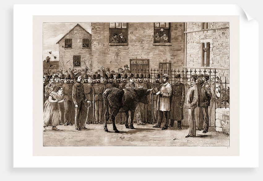 The Land Agitation In Ireland, 1881: boy Cotters Boycotted: At Sligo Court-house by Anonymous