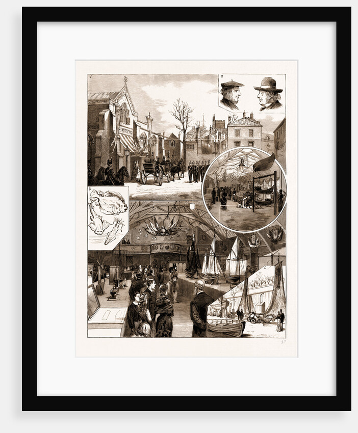 Opening Of The National Fisheries' Exhibition At Norwich, 1881 by Anonymous