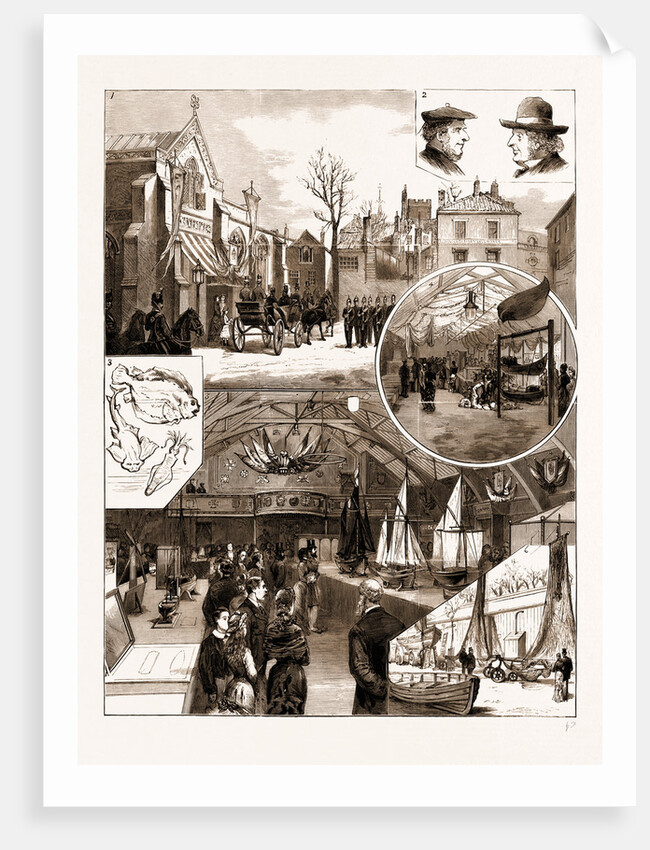 Opening Of The National Fisheries' Exhibition At Norwich, 1881 by Anonymous
