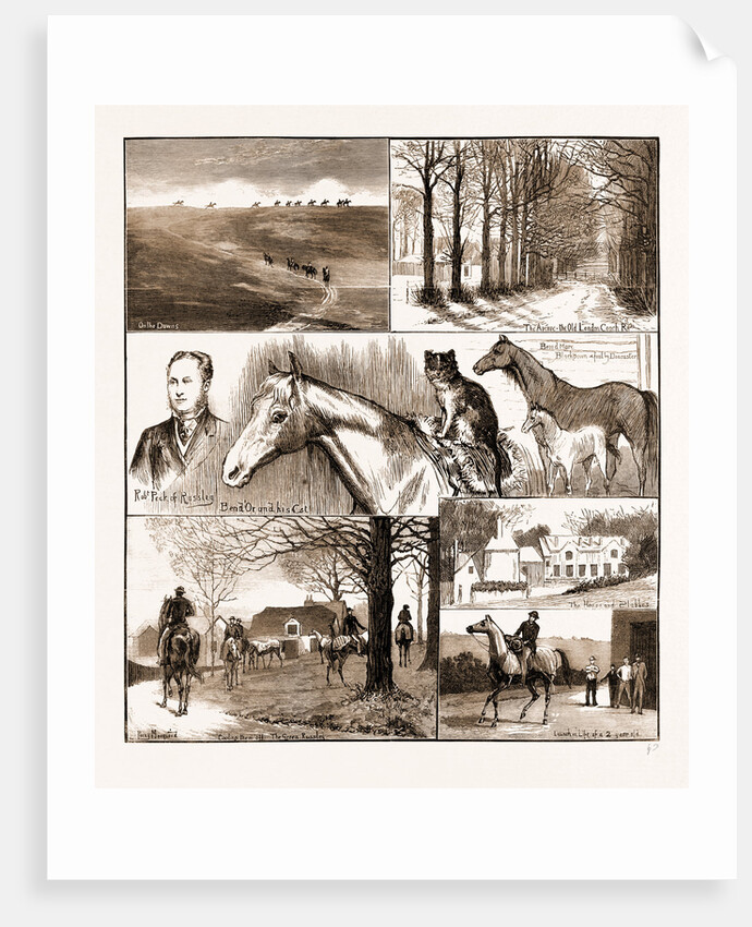 A Day At The Russley Stables, 1881; A Horse And A Cat by Anonymous