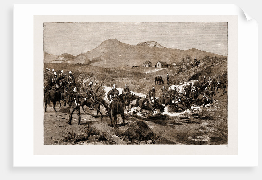 The Revolt In The Transvaal, South Africa by Anonymous