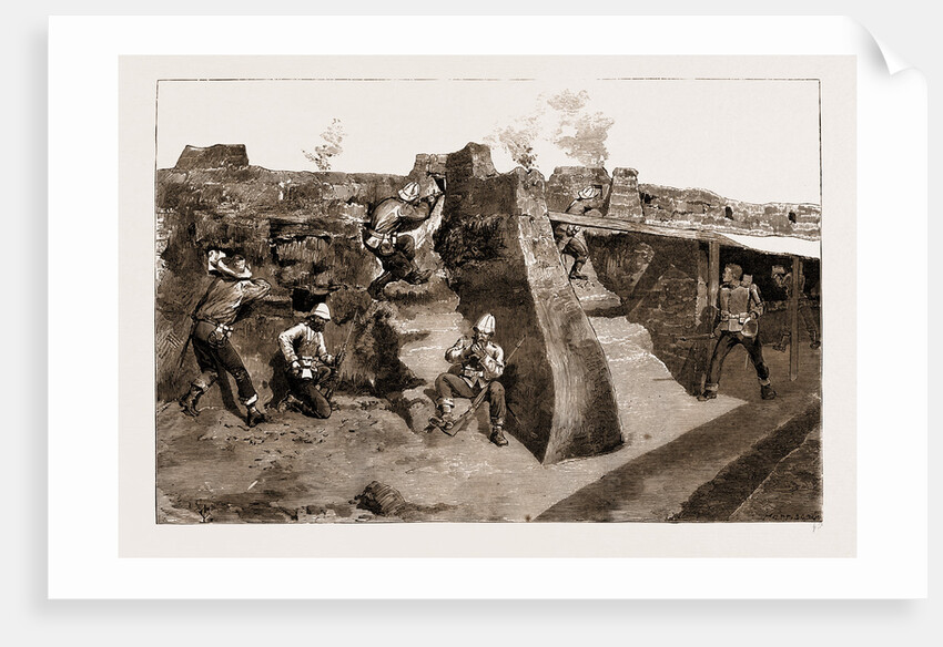 The Revolt In The Transvaal, South Africa by Anonymous