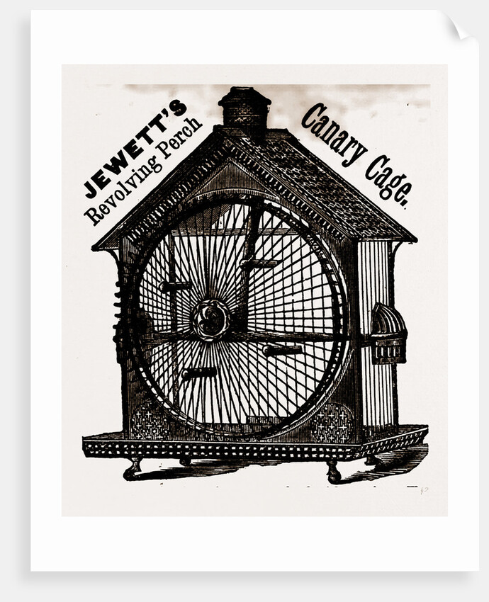 Nearly the Whole Front Is A Wheel With Perches. the Bird Hopping From Perch to Perch Gives Motion by Anonymous