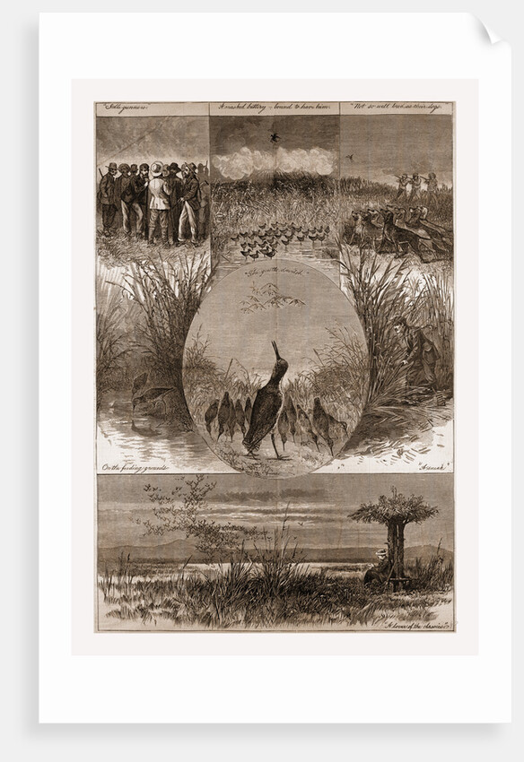 The Snipe Drawn by Gaston Fay