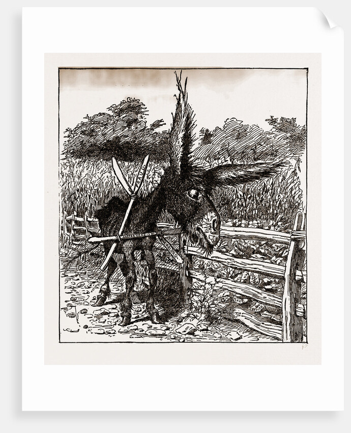 The Hungry Democracy—the Greatest Faster On Record, USA by Anonymous