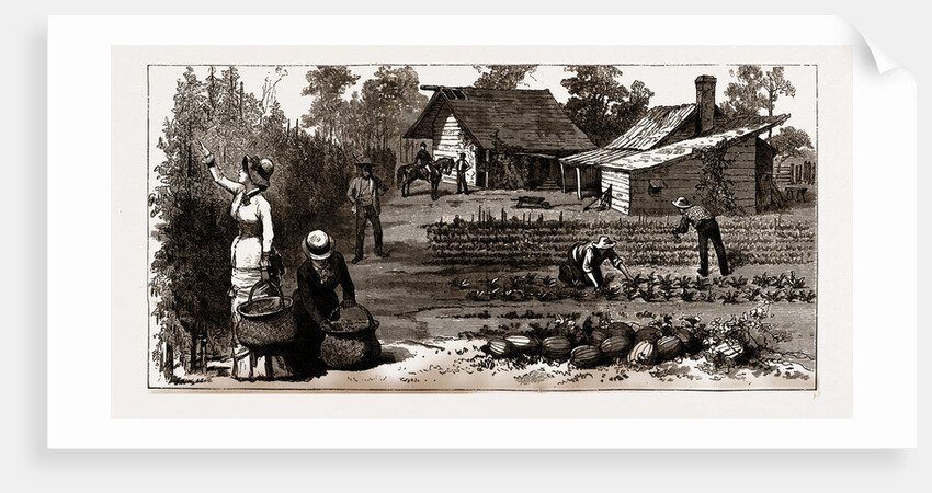 The English Garden, Scenes In Rugby, The English Colony In Tennesse, 1880, USA by Anonymous