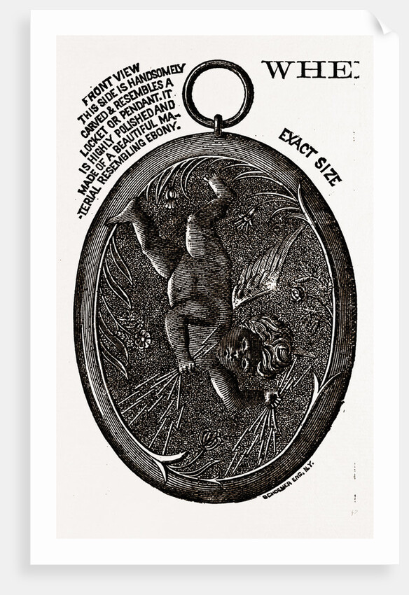 The Pall Mall Electric Association of London, 1880 by Anonymous