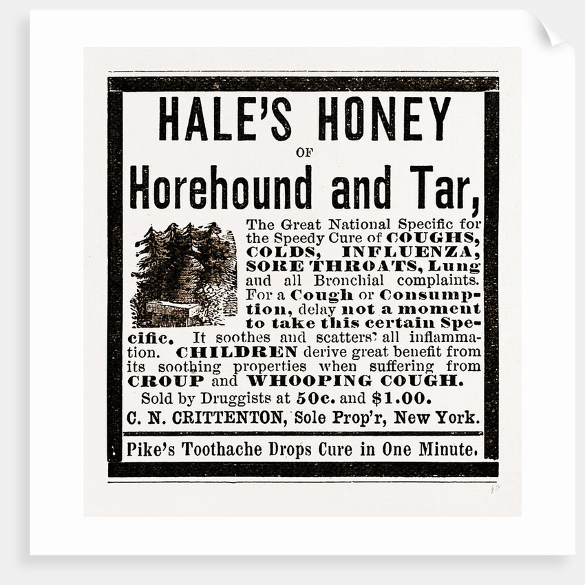 Hale's Honey Or Horehound And Tar, 1880 by Anonymous