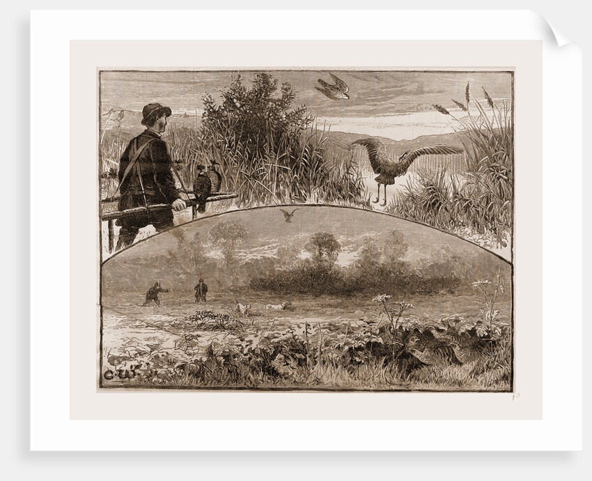 The Revival of Falconry, 1880 by Anonymous