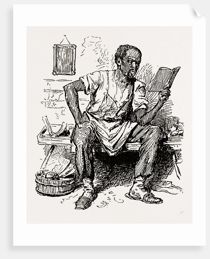 Charleston, South Carolina, the Good Brother, 1880 by Anonymous