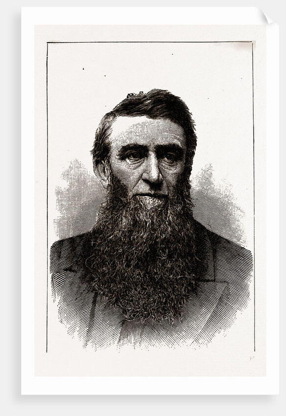 The Hon. D. H. Jerome, Governor-elect of Michigan by Anonymous