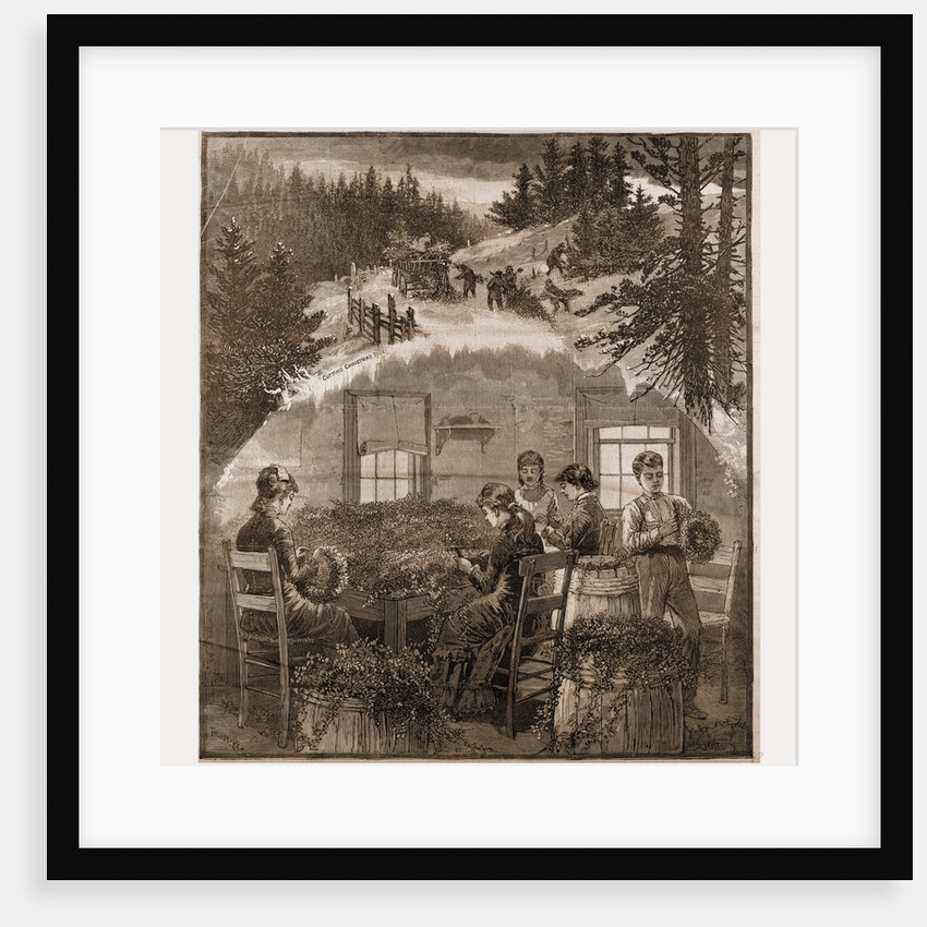 Making Wreaths, Preparing Christmas Greens, 1880, USA by Anonymous