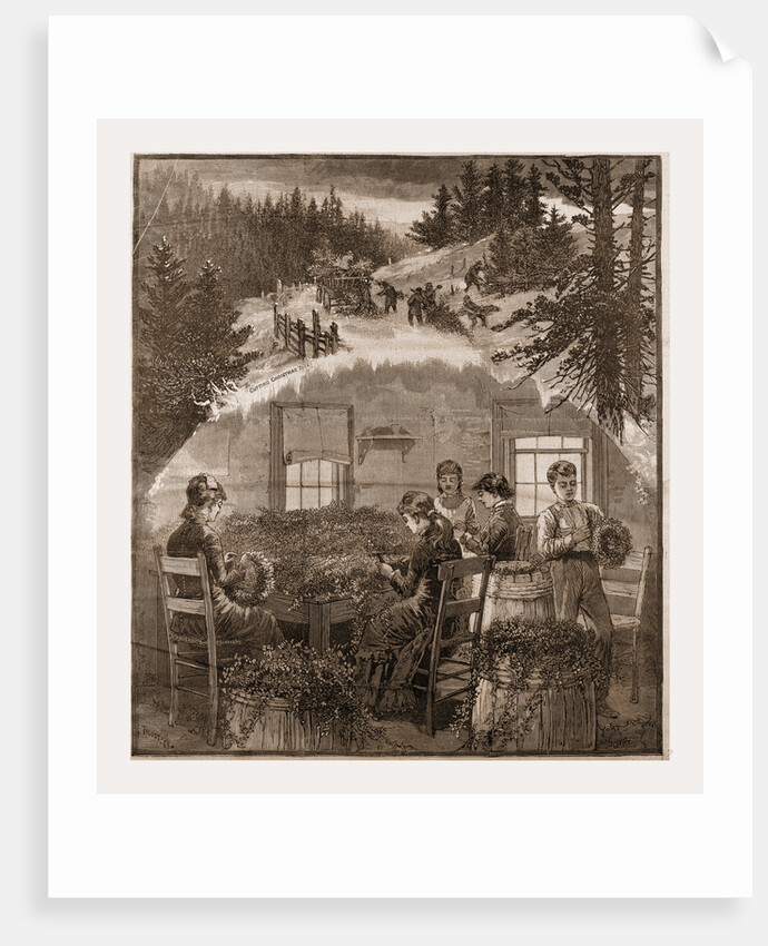 Making Wreaths, Preparing Christmas Greens, 1880, USA by Anonymous