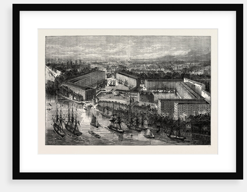 St. Katherine's Docks by Anonymous
