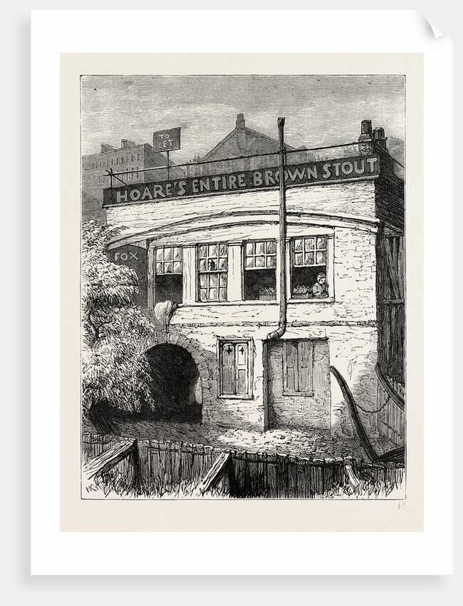 The fox-under-the-hill by Anonymous