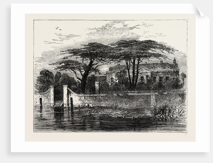 The Botanical Gardens, Chelsea, 1790 by Anonymous