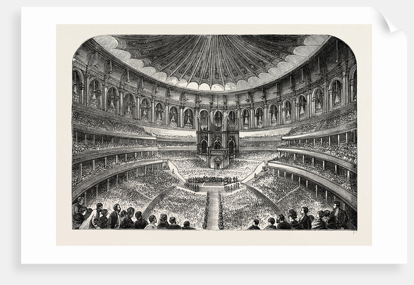 Interior of the Albert Hall by Anonymous