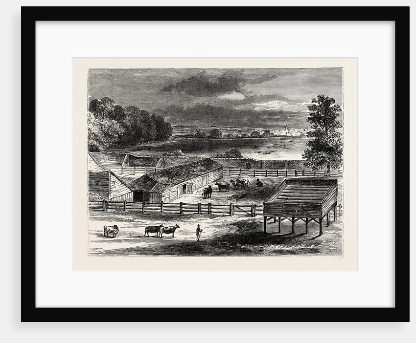 The Place of Execution, Tyburn, in 1750 by Anonymous