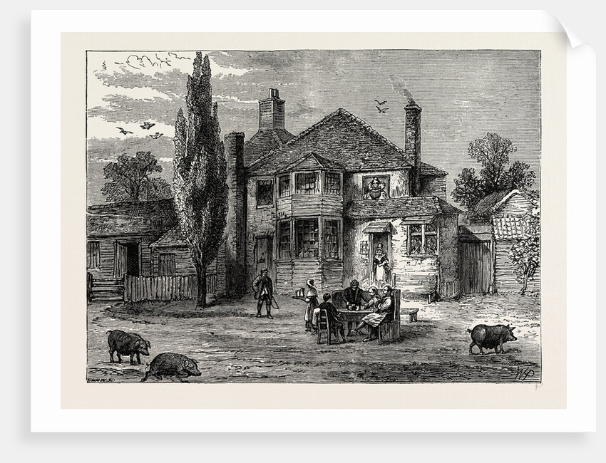 The queen's Head And Artichoke by Anonymous