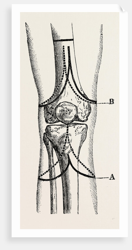 Stephen smith's by Anonymous