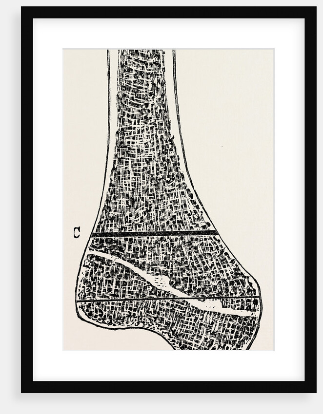 Vertical by Anonymous