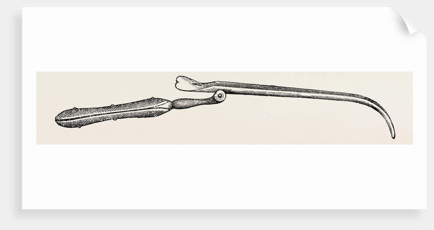 Blandin's director for resections by Anonymous