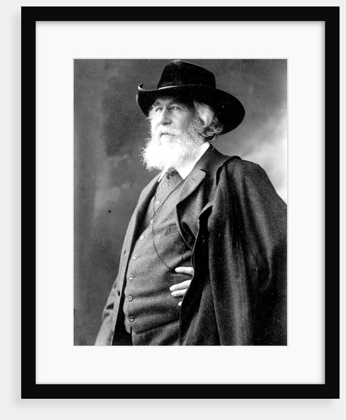 Prof. Haeckel by Ernst Haeckel