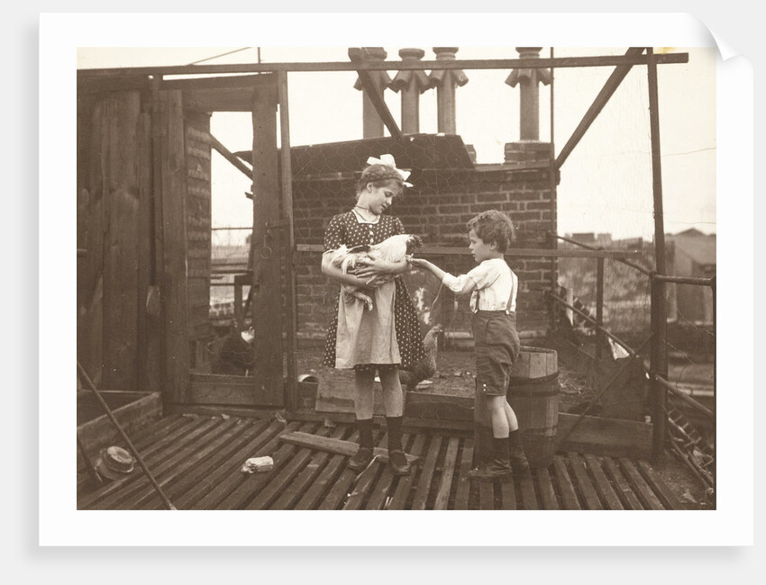 Marba (?) And Eckart Titzenthaler, children of the photographer, on the roof of the house Friedrichstrasse, Berlin, with a cock, Germany by Waldemar Titzenthaler