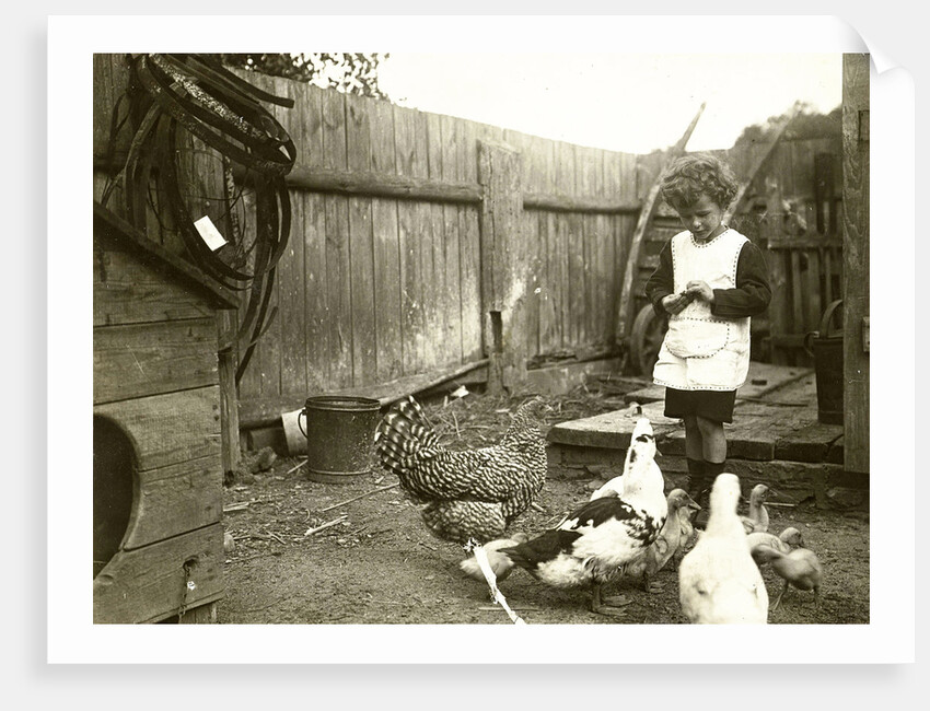Eckart Titzenthaler, son of the photographer standing on a farm with chickens and geese by Waldemar Titzenthaler