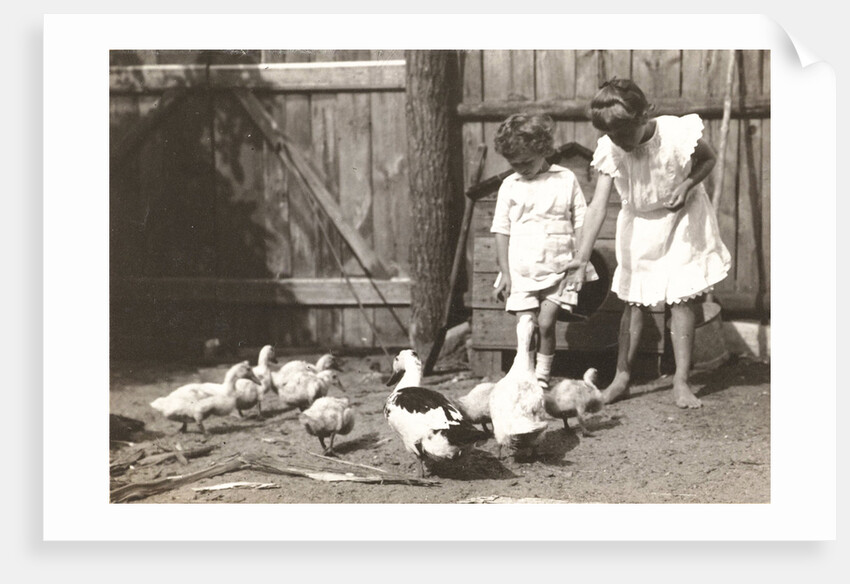 Marba and Eckart Titzenthaler, children of the photographer, standing on a farm with chickens and geese by Waldemar Titzenthaler